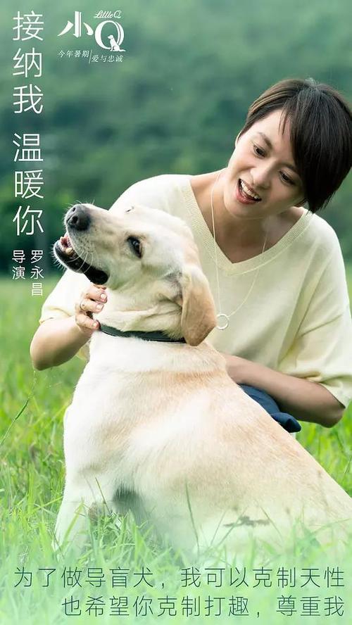 高中毕业证影响大学么